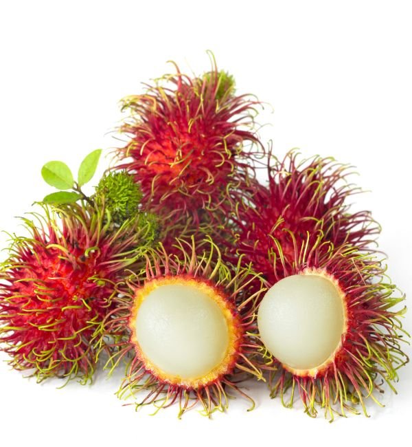 Rambutan